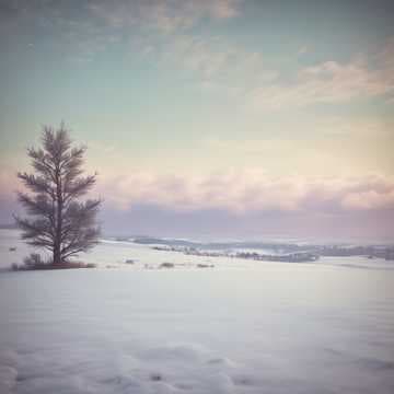 Cristales de Nieve